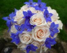 Blooms for Business